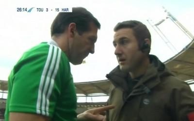 Le comportement de chiffonniers des Harlequins sur le banc Le comportement de chiffonniers des Harlequins sur le banc