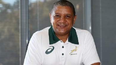 Afrique du Sud - Allister Coetzee nommé à la tête des Springboks pour quatre ans