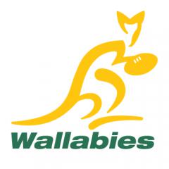 Wallabies - Rugby