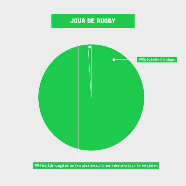 INFOGRAPHIE : les clubs du Top 14 déchiffrés de manière décalée