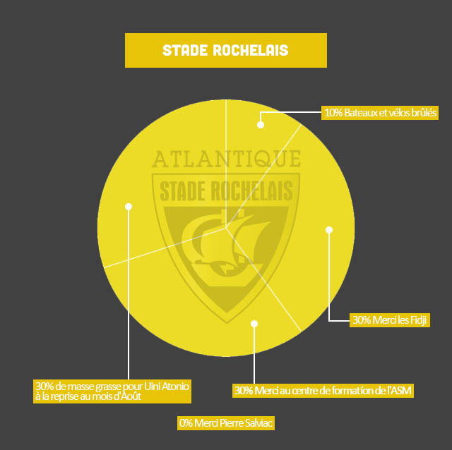 INFOGRAPHIE : les clubs du Top 14 déchiffrés de manière décalée