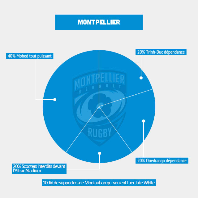 INFOGRAPHIE : les clubs du Top 14 déchiffrés de manière décalée