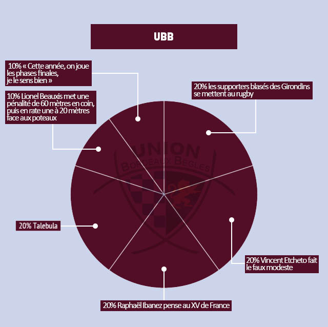 INFOGRAPHIE : les clubs du Top 14 déchiffrés de manière décalée