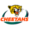 Toyota Cheetahs