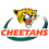Toyota Cheetahs