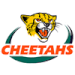 Toyota Cheetahs