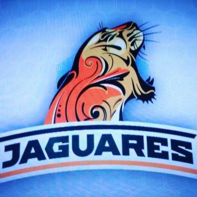 PHOTO. Super Rugby - Argentine : le logo de Los Jaguares dévoilé