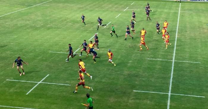 Pro D2 - Face à l'état déplorable de la pelouse d'Aimé-Giral, les supporters lancent une pétition