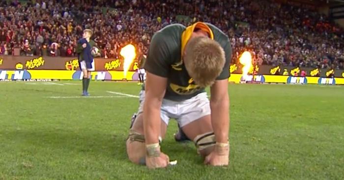 RUGBY CHAMPIONSHIP. Les Springboks s'inclinent contre les All Backs après un match épique (24-25).