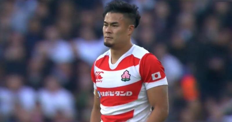 Pourquoi les joueurs de l'équipe nationale japonaise sont-ils surnommés les ''Brave Blossoms'' ?