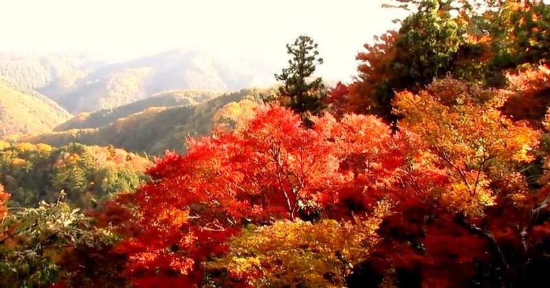 5 lieux pour admirer les superbes couleurs de l'automne pendant la Coupe du monde au Japon