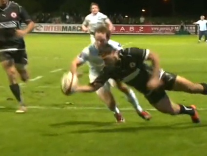 La belle bourde de Hunt