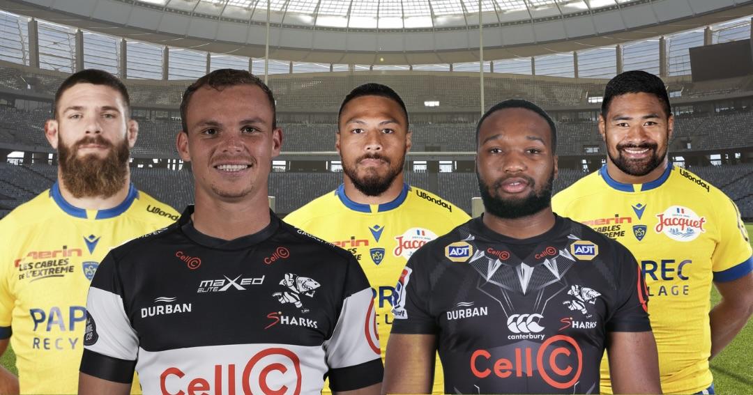 CHALLENGE CUP. 5 raisons pour lesquelles les Sharks et l'ASM se ressemblent