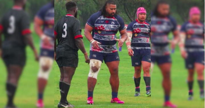 VIDEO. Plus gaillard que Meafou, on a retrouvé cet animal de 145kg qui avait échoué au Stade Toulousain