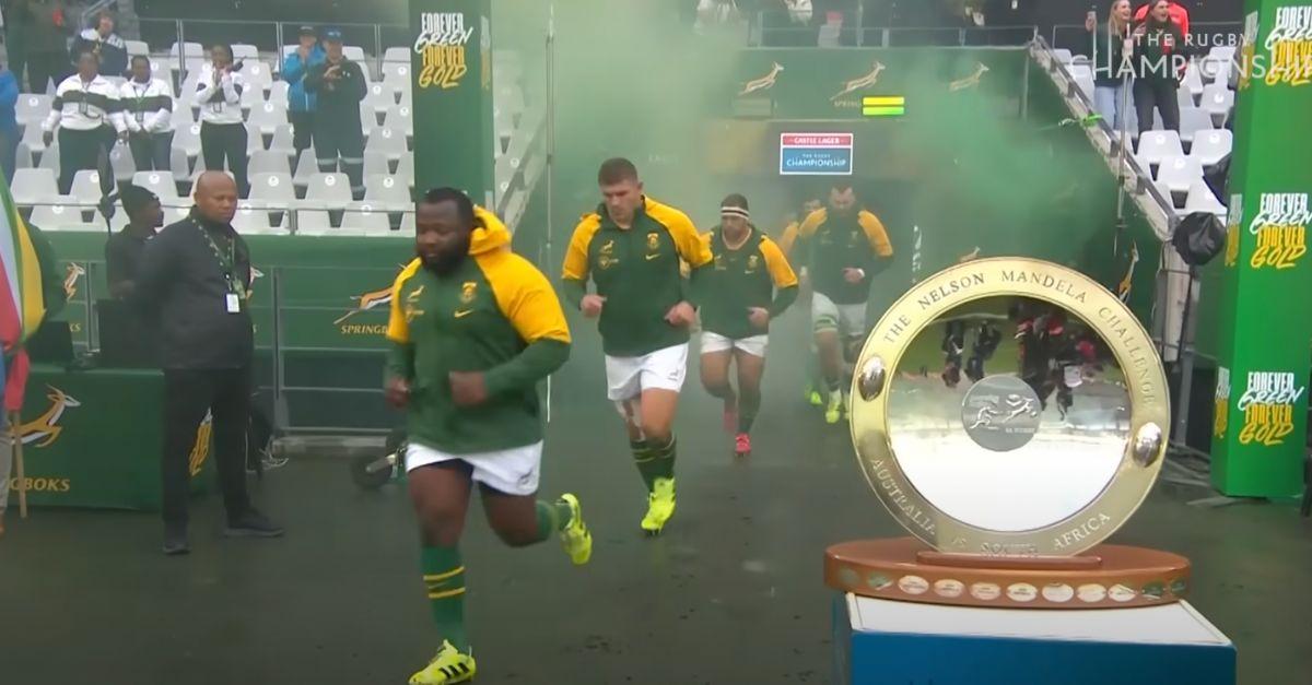 RUGBY. 1,82m; 153 kg : Tout juste néo-capé, ce springbok (déjà) épinglé pour dopage ?