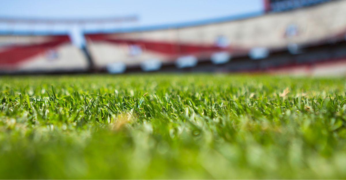Lyon accueillera les finales de la Champions Cup et du Challenge Cup 2027 : un tournant pour le rugby français