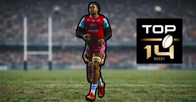 2m01, 124kg : La Rochelle engage un ''mini Will Skelton'' venu de PRO D2 pour préparer la suite