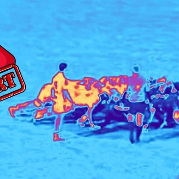 Ce bastion du rugby français au bord du dépôt de bilan