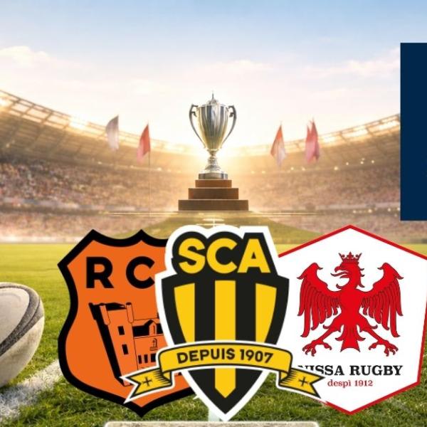 Nationale. Niort forfait, la course au Top 6 chamboulée ?