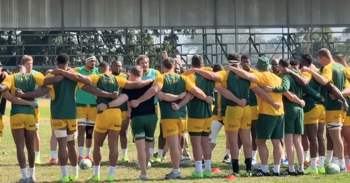 3 joueurs du TOP 14 appelés pour préparer le calendrier dantesque des Springboks