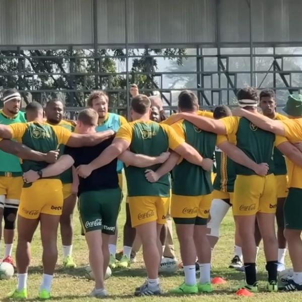 3 joueurs du TOP 14 appelés pour préparer le calendrier dantesque des Springboks