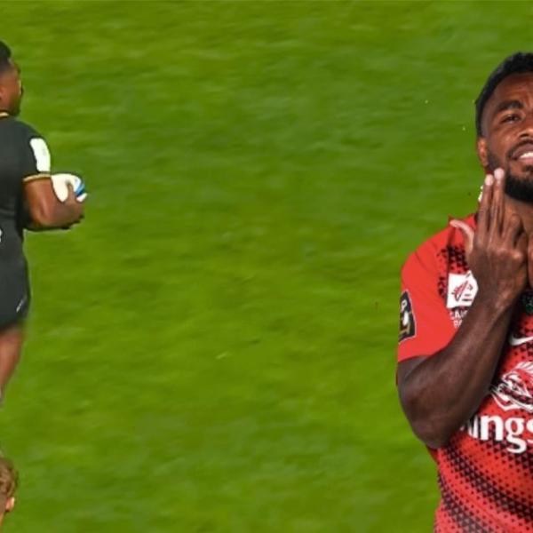 Sans faire de bruit, Seta fait son nid : dans l’ombre des stars, Tuicuvu a (encore) tout renversé