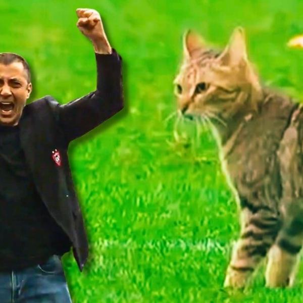 Habana à la 91e, un chat sur le terrain : la demi-finale 2015 que Toulon a failli perdre