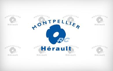 Le nouveau logo du MHR