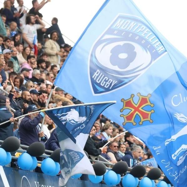 TOP 14. Montpellier-Castres reporté : derrière 24 heures de décalage, le casse-tête du CO