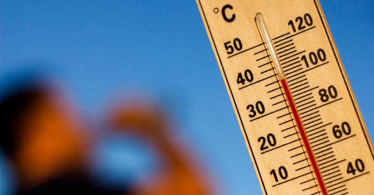 40°C à l’ombre : guide de survie du rugbyman pour éviter le K.-O. thermique