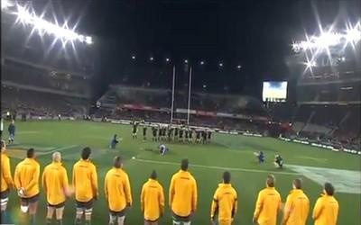 All Blacks / Wallabies, le résumé en vidéo