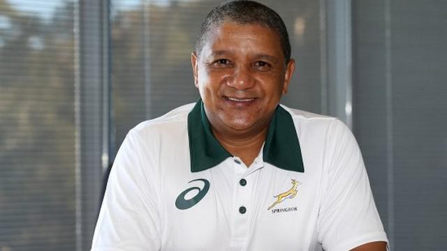 Afrique du Sud - Allister Coetzee nommé à la tête des Springboks pour quatre ans