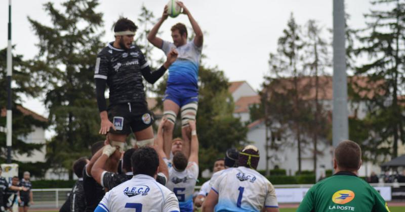 Amateur - Arbitre showman, pluie, peu de sommeil : revivez mon déplacement à Poitiers