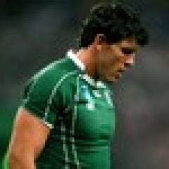 Année 2008 du rugby Irlandais