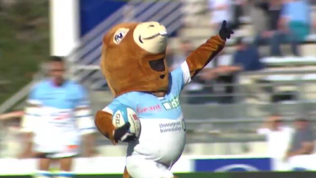 VIDEO. Entre folie et hommage, Pottoka fête ses 15 ans comme mascotte de l'Aviron Bayonnais