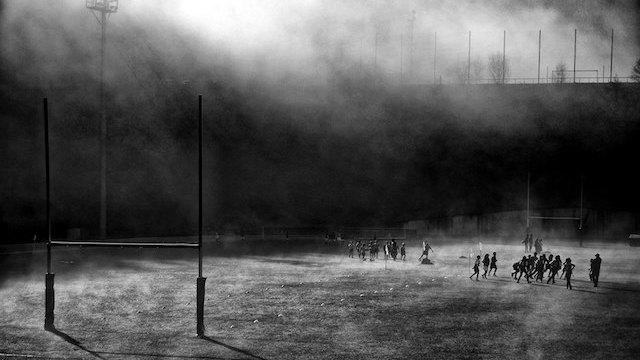 Festival Rugb’images. Le concours photos « Les yeux du Stade » met à l’honneur de superbes clichés