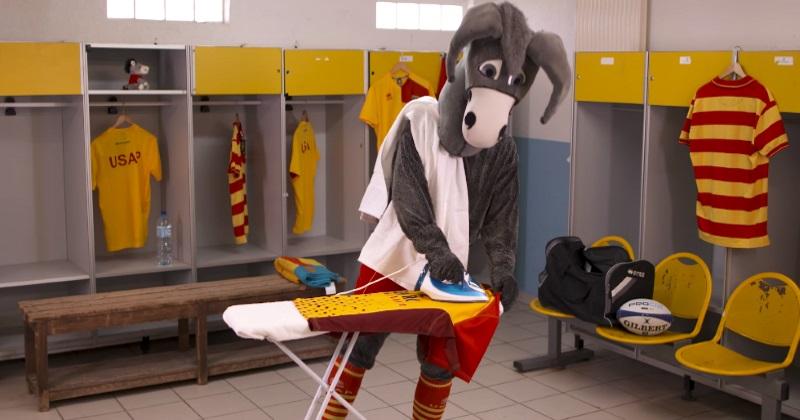 VIDÉO. Insolite - Massage, zénitude, pomponnage : les mascottes se préparent pour les demi-finales de Pro D2