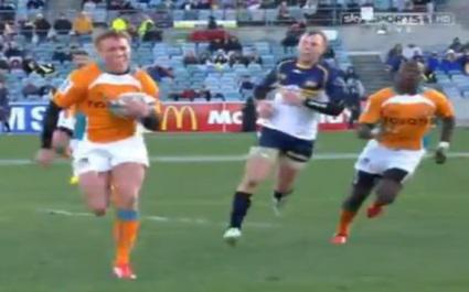 VIDEO. Les Cheetahs échouent à la sirène et loupent la demi-finale du Super Rugby