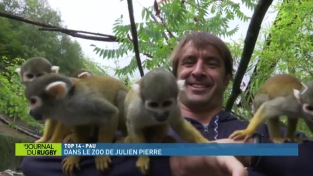 VIDEO. INSOLITE - Section Paloise : dans l'intimité du 2e-ligne Julien Pierre... au zoo