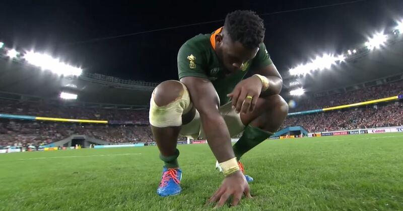 INTERNATIONAL. Vaincus en Australie à deux reprises, une statistique fait mal chez les Springboks