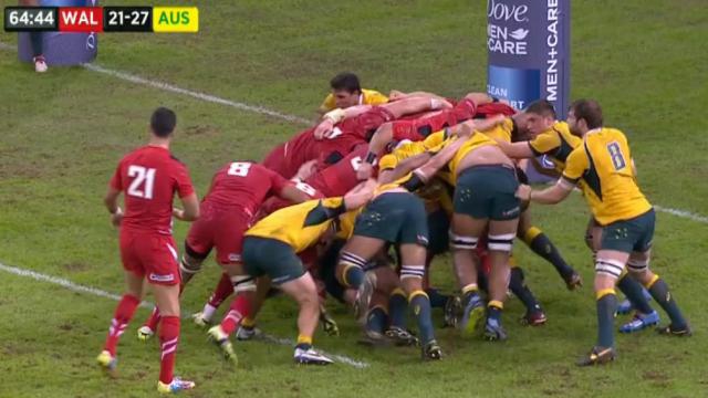 XV de France - Wallabies. Comment la presse australienne envisage-t-elle le match face aux Bleus ?