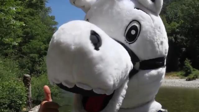 VIDEO. Top 14. La mascotte du MHR profite de la reprise pour s’envoyer en l’air