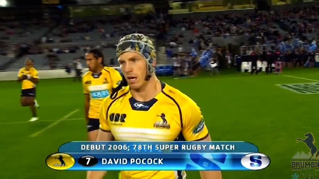 VIDEO. Super Rugby. La machine David Pocock impressionne avec ses grattages