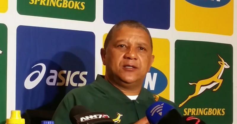 Afrique du Sud - Le sélectionneur des Springboks Allister Coetzee remercié