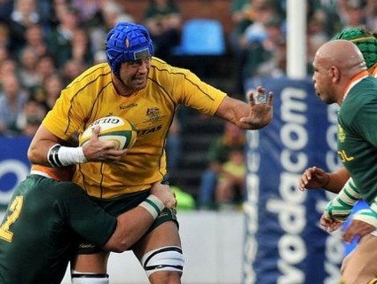 Les Springboks battent les Wallabies dans un match de folie