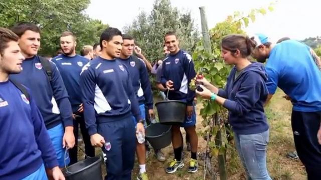 VIDEO. Les vendanges, un moment important de cohésion et de découvertes pour les joueurs du Top 14