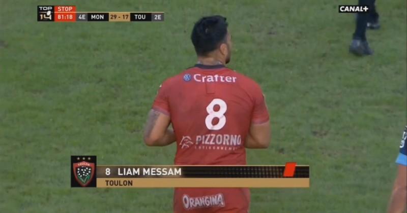Top 14 - Toulon. Sanction réduite en appel pour Liam Messam