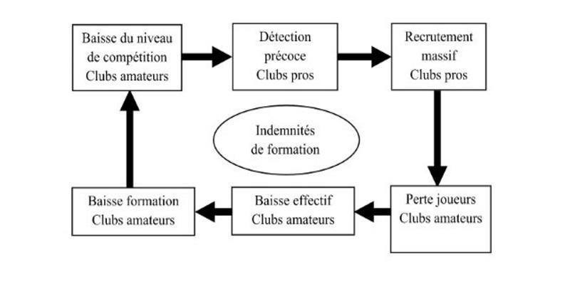 Pourquoi les indemnités de formation sont-elles en train  de tuer le rugby amateur ?