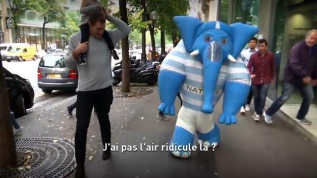 VIDEO. INSOLITE : Quand Chris Masoe se promène en éléphant sur les Champs-Elysées