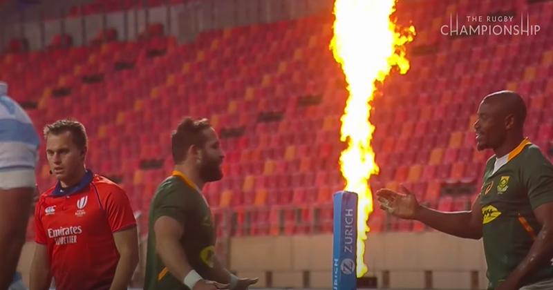 Rugby Championship. Simple, basique : les Springboks dominent facilement les Argentins [VIDÉO]